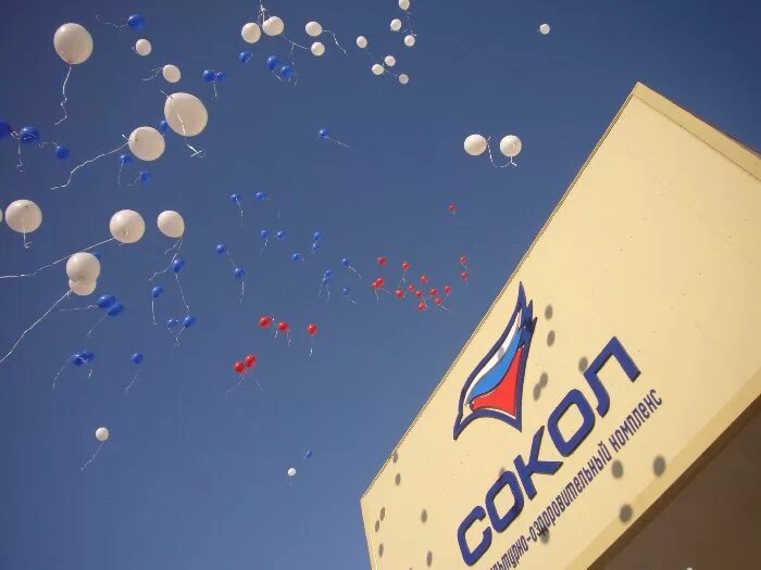 Сайт фока сокольское. Фок сокольское нижегородской области. фок сокол нижний новгород. фок сокол сокольское. физкультурно-оздоровительный комплекс сокол нижегородская область.