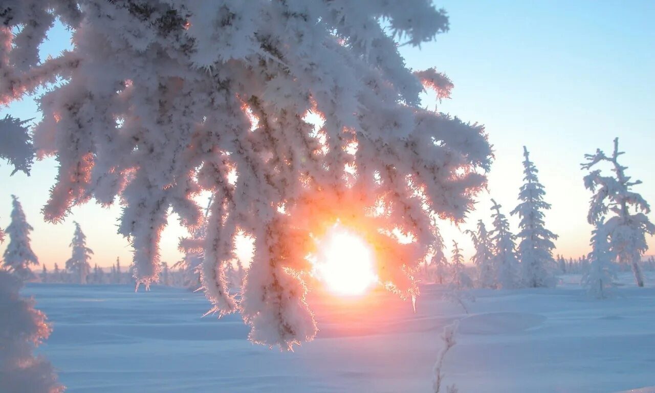 Декабрь самый длинный день. 21 Декабря день зимнего солнцестояния Карачун. Зима солнце. Зимний день. Декабрьское солнце.