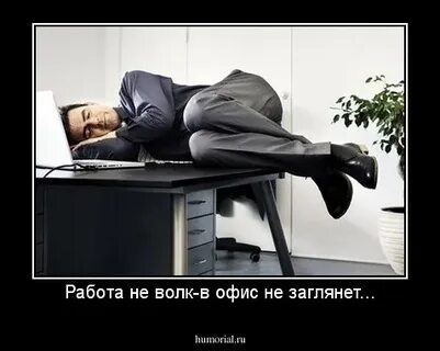 Работа не волк работа work