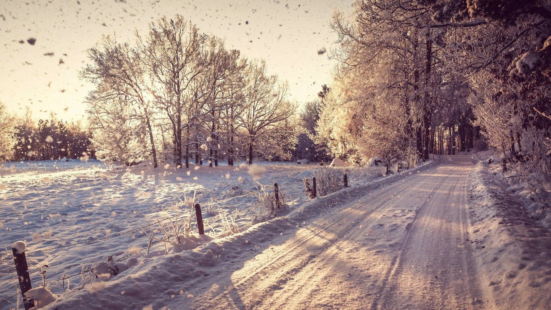 Природа зима. Снежная зима. Снежный пейзаж. Заставка зима. Красивая зима.