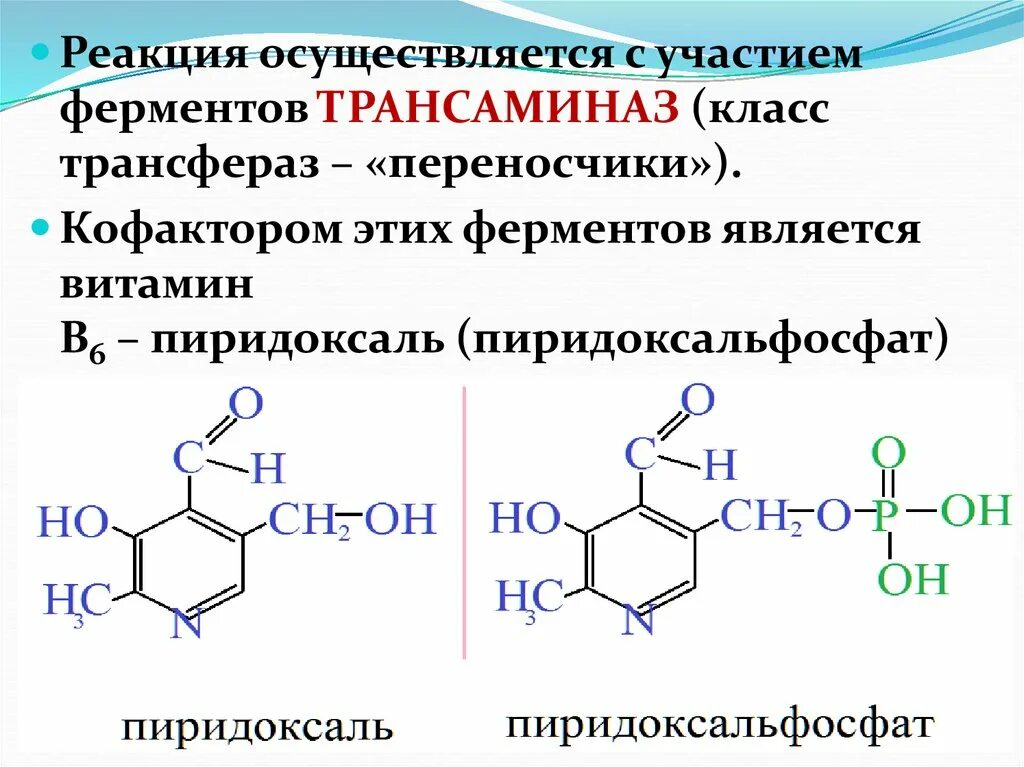 Пиридоксальфосфат кофермент витамина в6. Реакции с участием витамина в6 схема. Коферменты трансфераз. Витамин b6 кофермент. Ферменты коферменты витамины