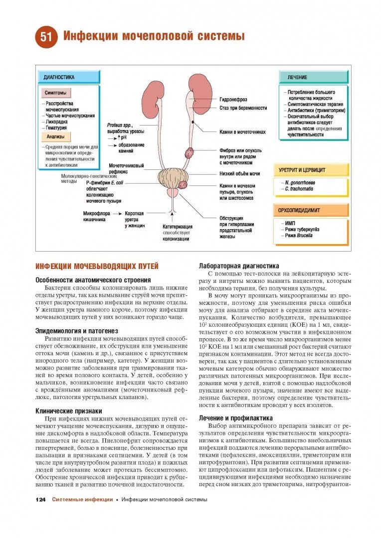 Лечение мочеполовой инфекции у женщин. Наглядные инфекционные болезни и микробиология. Инфекции мочеполовой системы. Инфекция мочевыводящих путей буклет. Профилактика заболеваний мочеполовой системы.