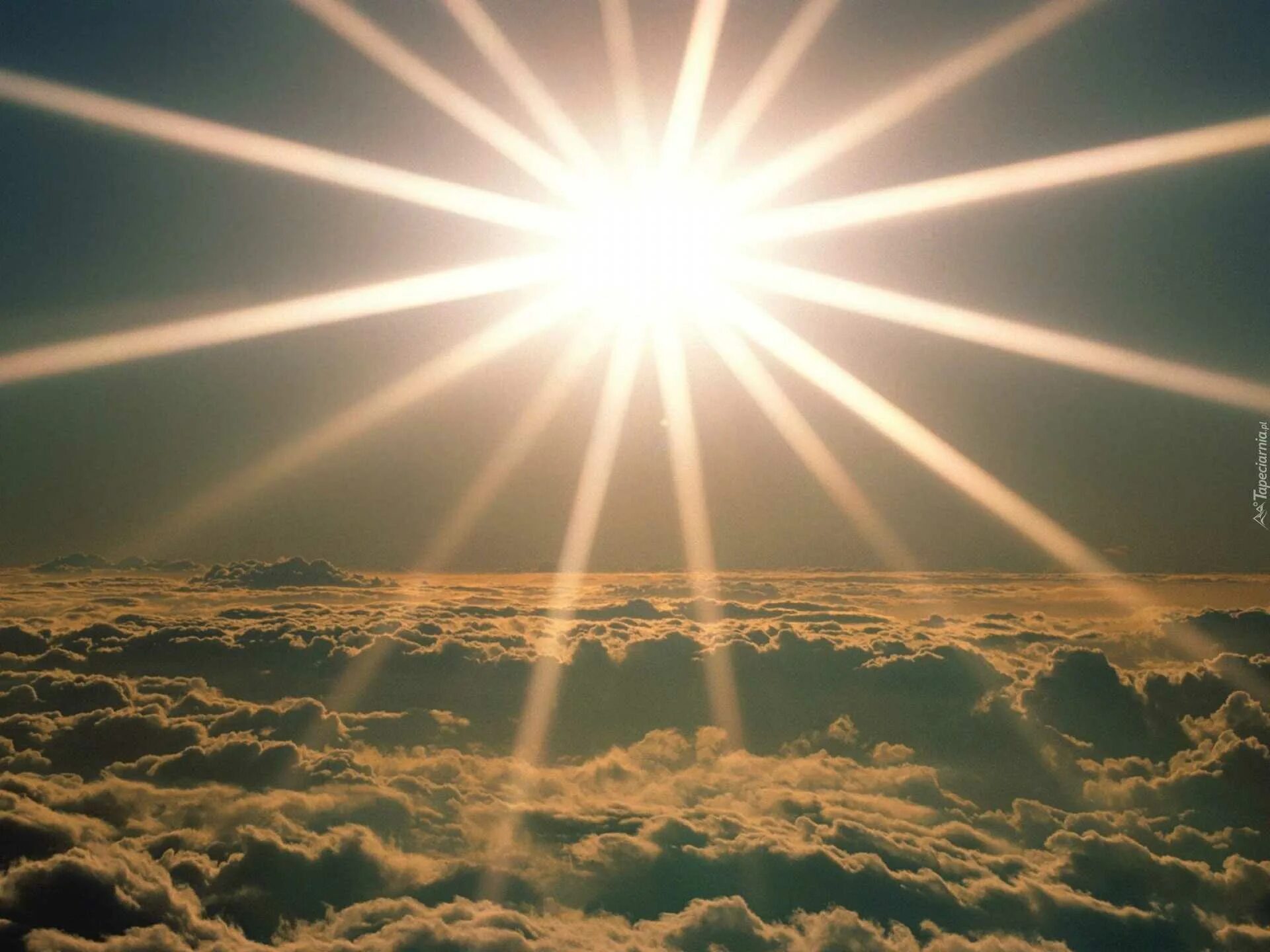 Sun light 1