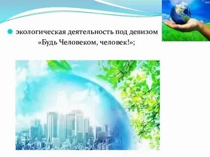 Экологическая деятельность это