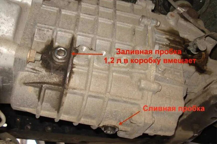 Сколько литров в кпп газель. Пробка сливная кпп газон некст. пробка сливная кпп 3302. пробка заливная кпп газон некст. заливная пробка в кпп газель 2705.