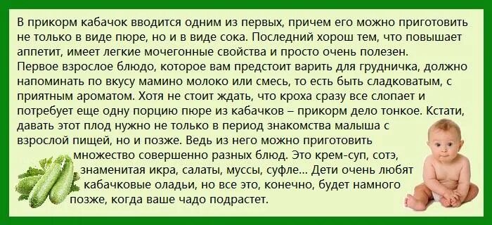 Первый прикорм кабачок. Первый прикорм ребенка. Как приготовить кабачки для первого прикорма ребенку 5 месяцев. Кабачок для первого прикорма 4 месяца.