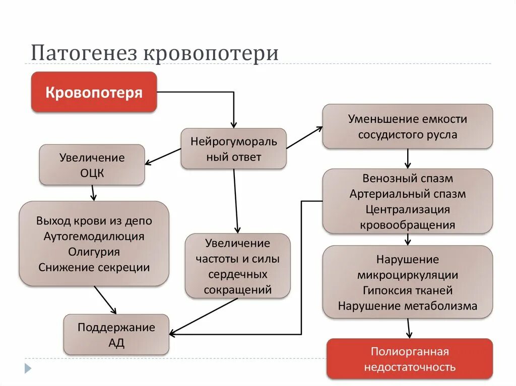 Острая кровопотеря шок. Патогенез острой кровопотери схема. Патогенез кровотечений на схеме. Патогенез острой массивной кровопотери. Патогенез острого кровотечения.