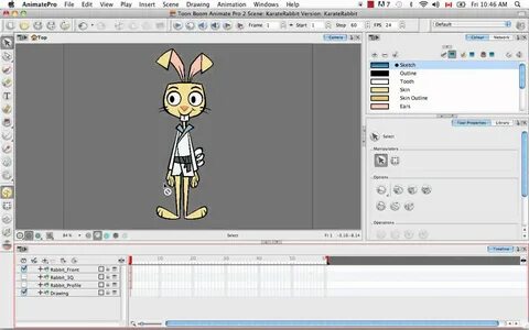 Toon boom animate