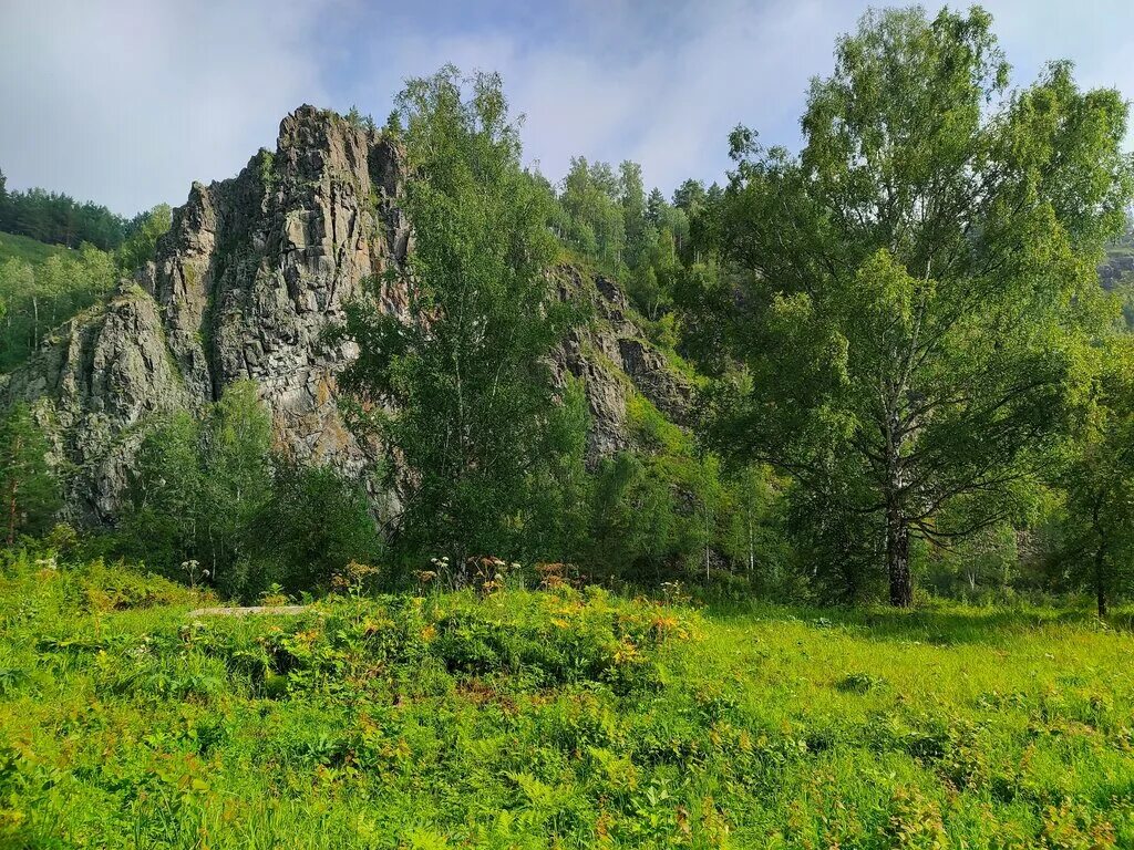 Красивые места новосибирской области