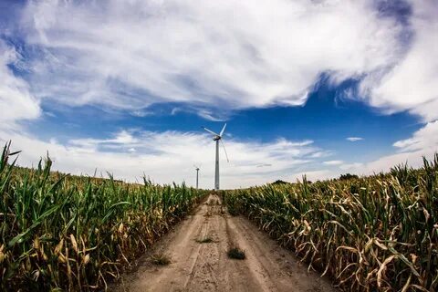 Rural environment