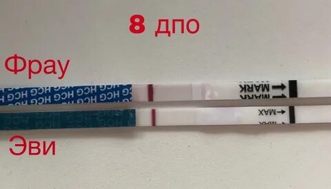 Дополнительное профессиональное образование тесты