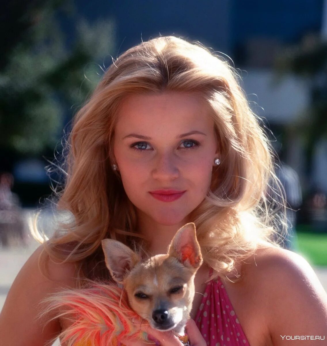 Legally blonde watch. Риз Уизерспун блондинка в законе. Риз Уизерспун 2001. Эль Вудс. Элли Вудс блондинка в законе.