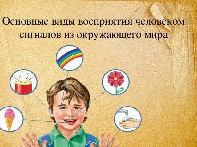 Как воспринимает человек этот мир. Восприятие человека.