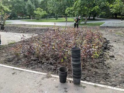 Объявляется посадка