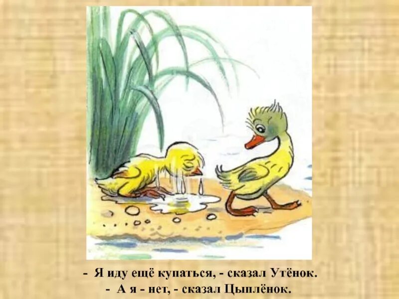 Скажи утку. Сутеев в. "цыпленок и утенок". Чтение в.Сутеева "утёнок и цыплёнок". Утка и утята сказал. Утенок тим идет купаться.