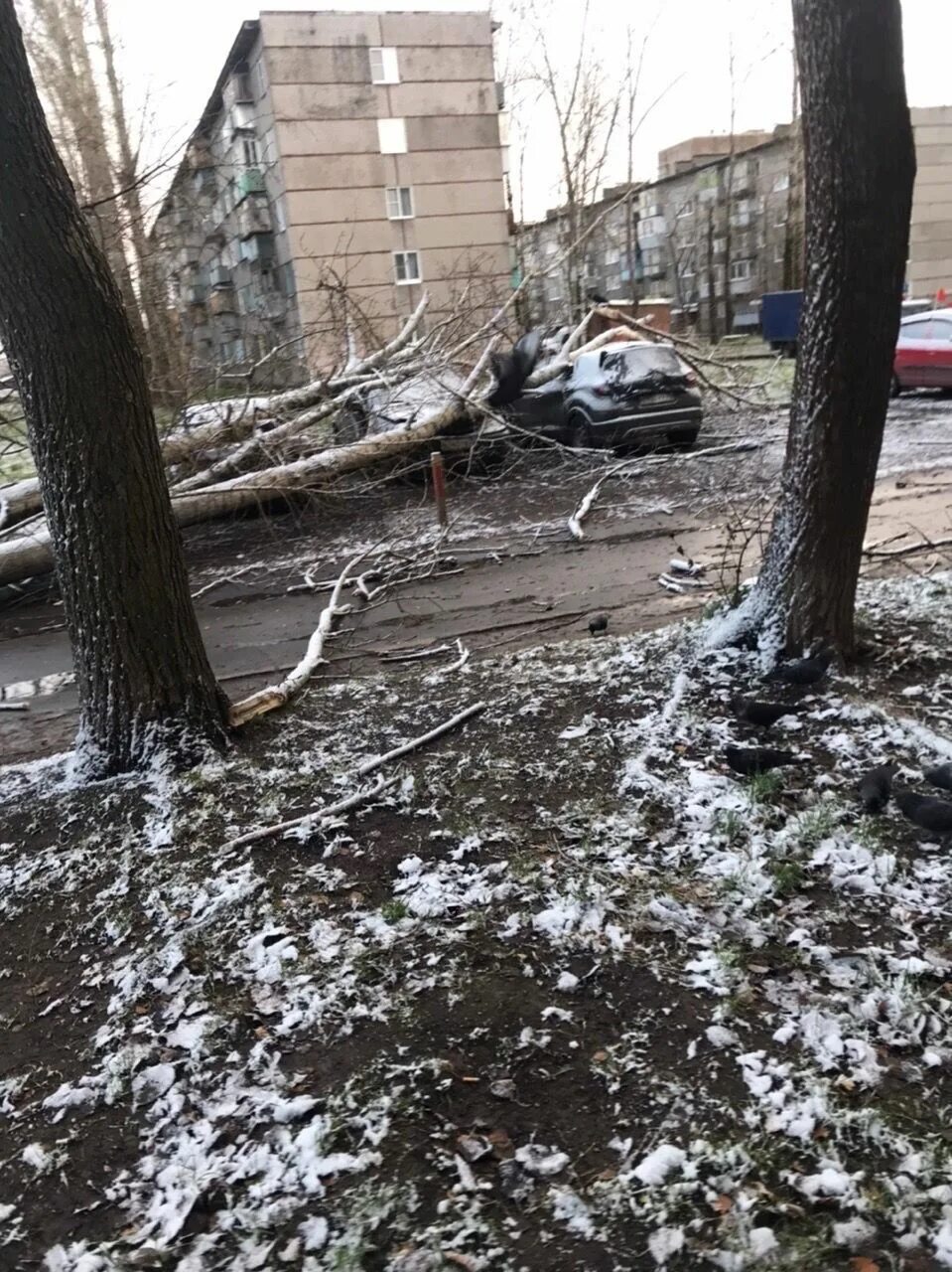 Ненастье сегодня