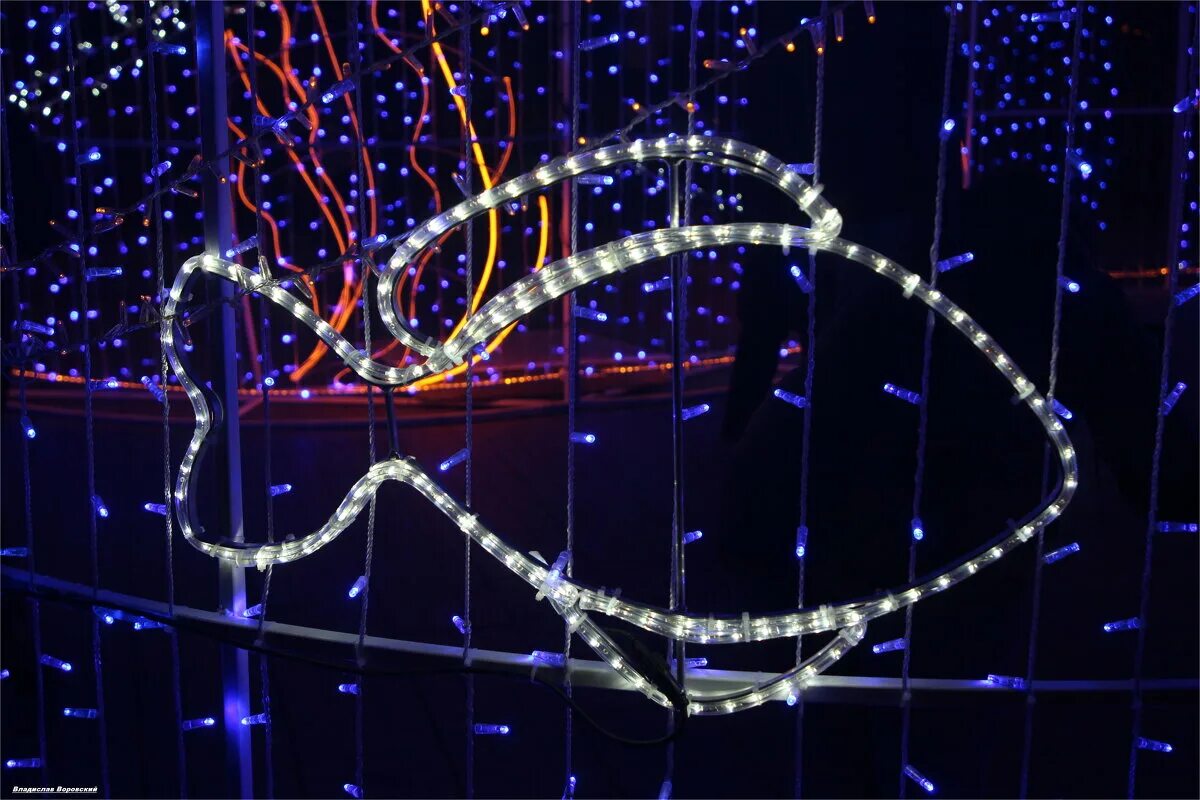 зимняя сказка 2022