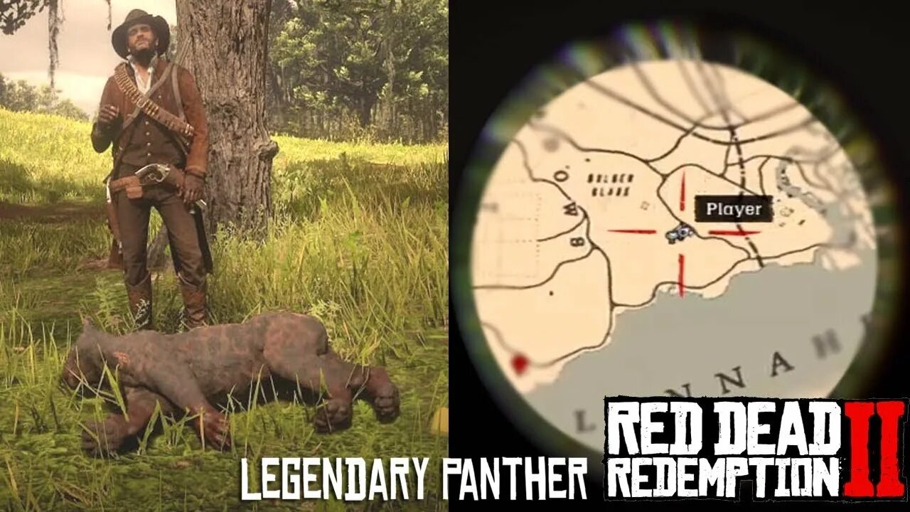 Превосходная пантера рдр 2. Panther rdr2. гиагуаро rdr 2. red dead redemption 2 пантера. legendary panther rdr 2.