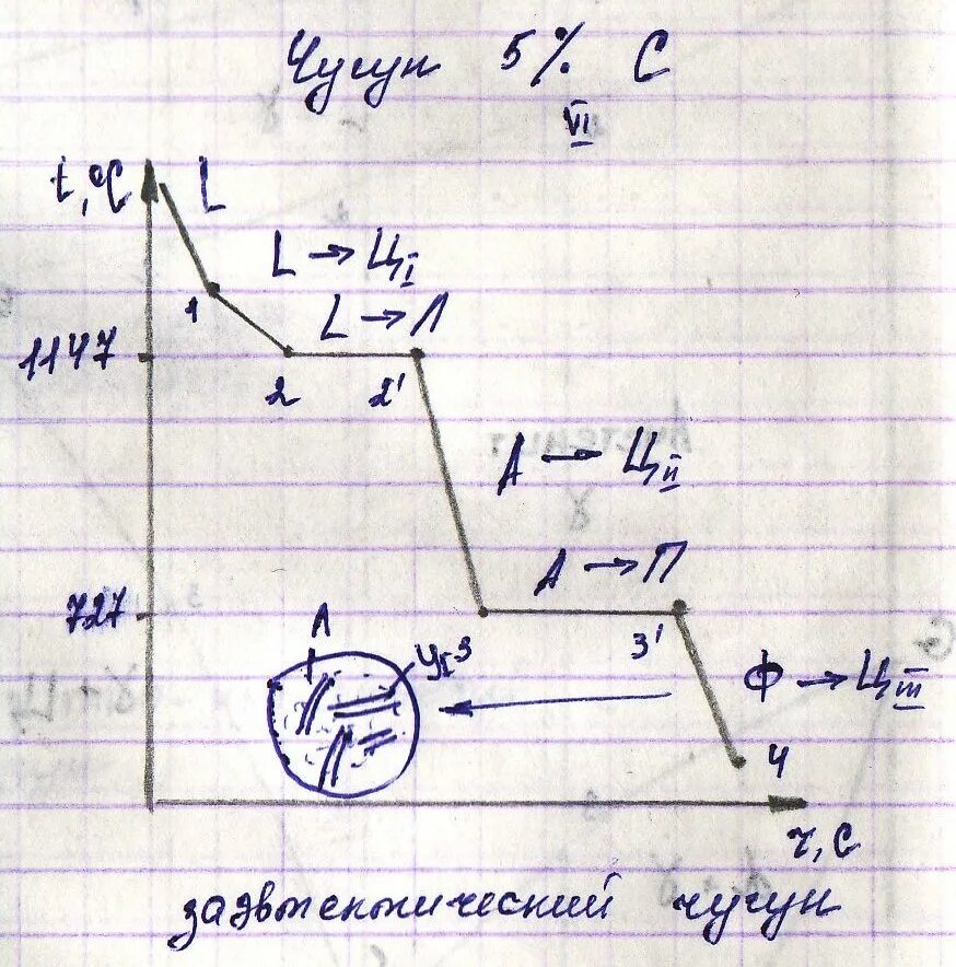 Сво 04.03 24. Кривая охлаждения чугуна 5.6. Кривая охлаждения доэвтектического чугуна. Кривая охлаждения чугуна 4.5. Кривая охлаждения доэвтектического сплава.