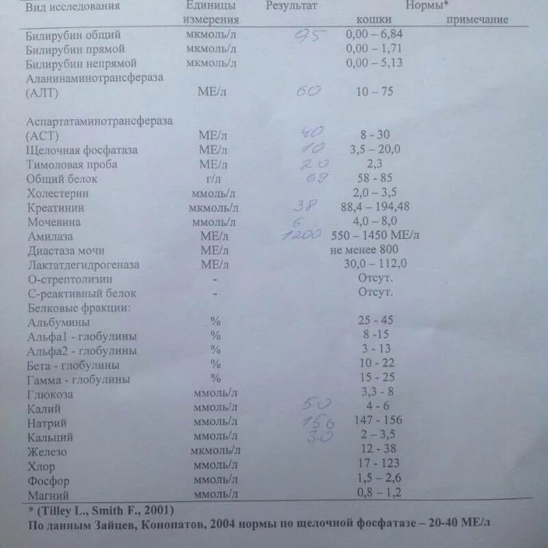 Щелочная фосфатаза понижен у ребенка