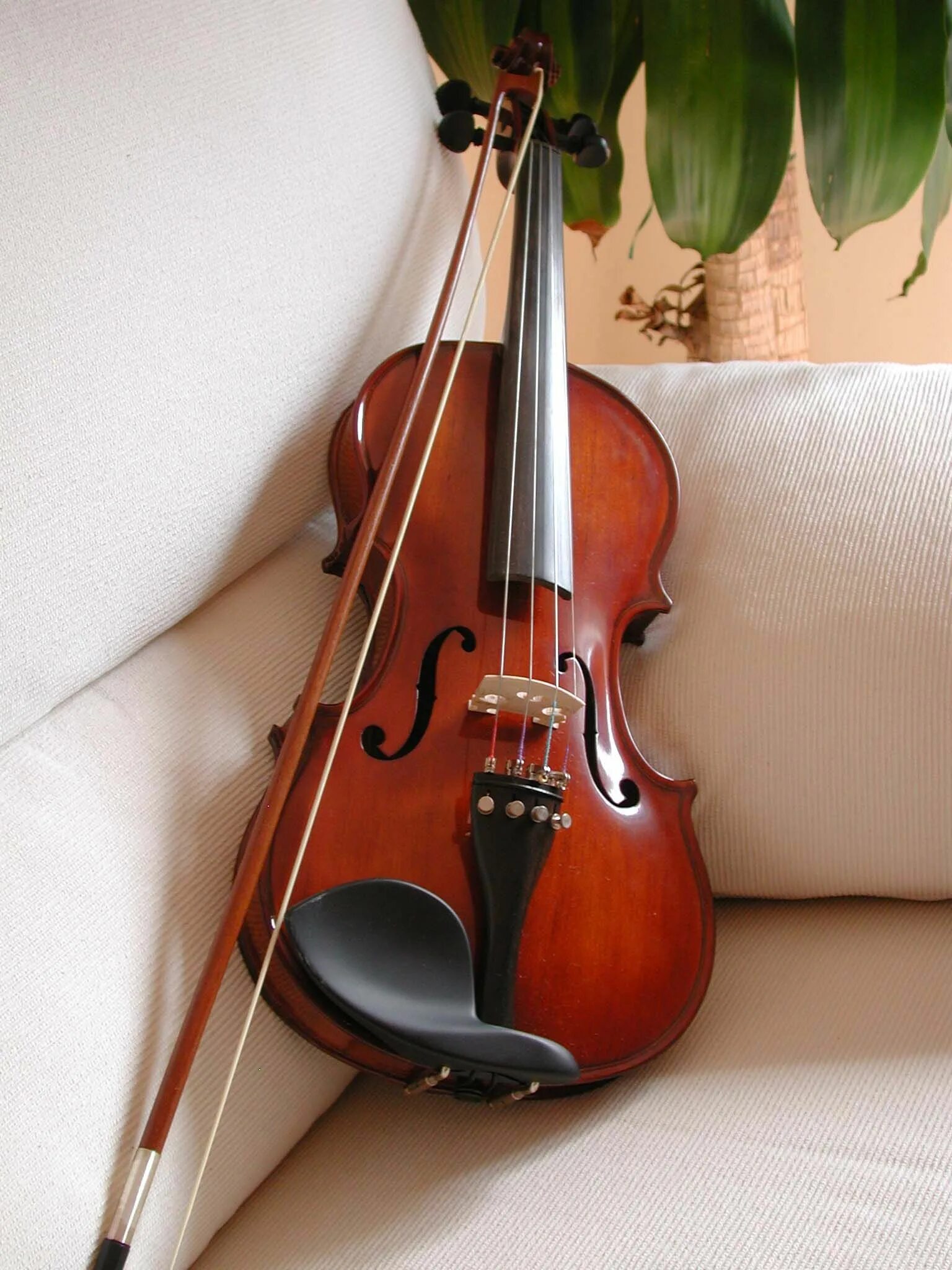 Violin скрипка. Виолин музыкальный инструмент. Скрипка. Скрипка музыкальный инструмент. Виолончель музыкальный инструмент.