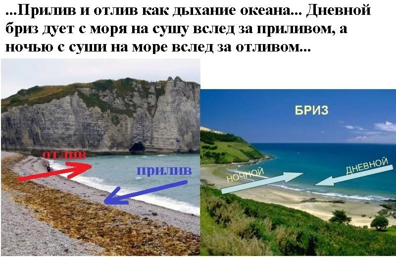 Почему приливы ночью. Приливы и отливы. Прилив и отлив моря. Приливы и отливы на морях и в океанах. Море прилив.