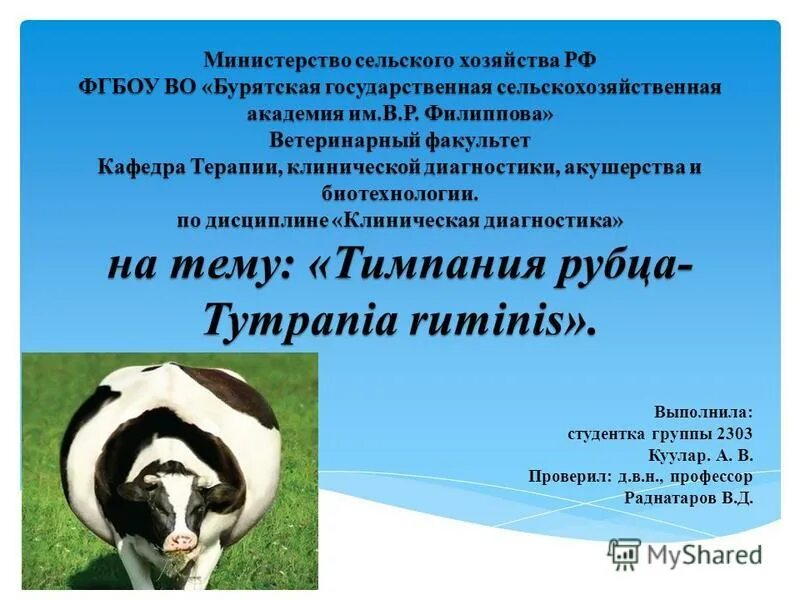 Травматический ретикулит крс. История болезни тимпания рубца. Тимпания у крупного рогатого скота. Тимпания рубца у коровы история болезни. История болезни тимпания.