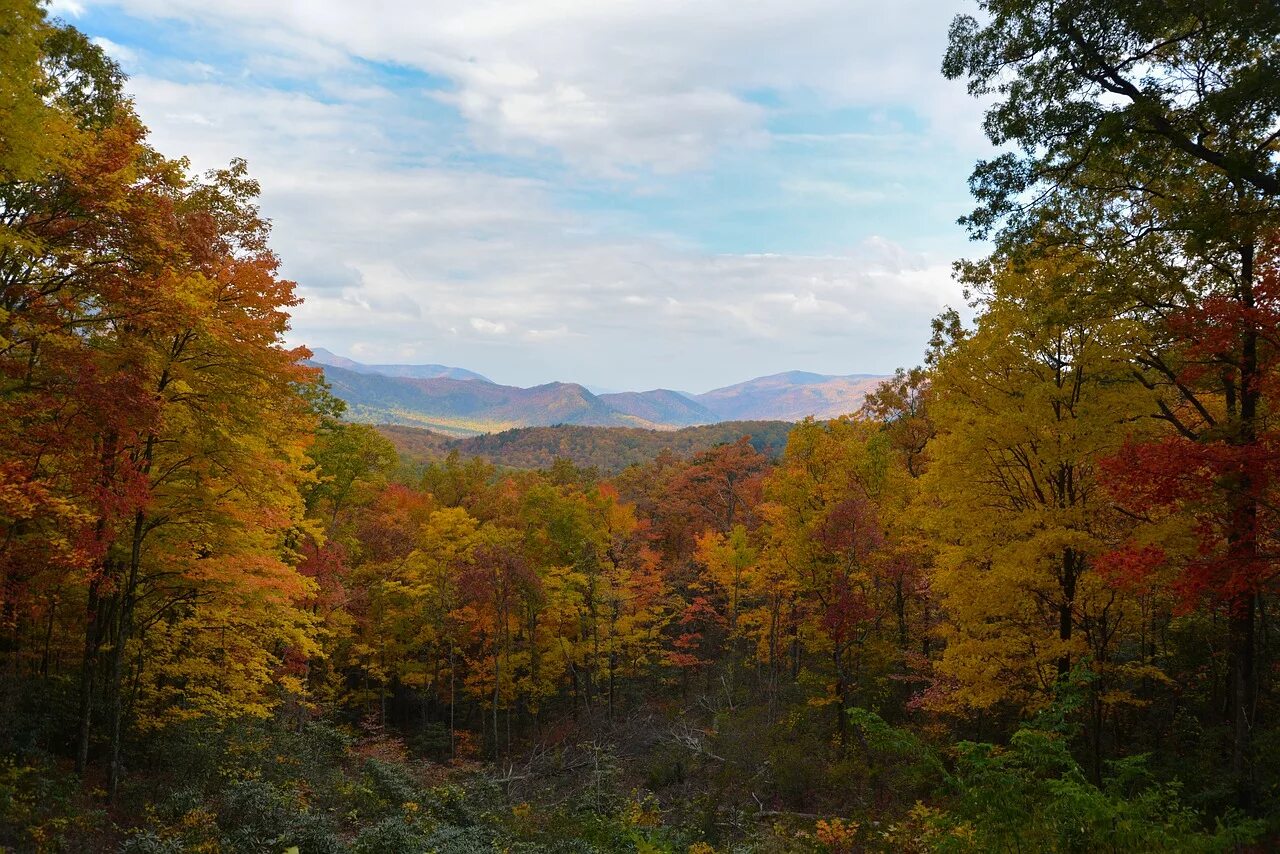 Great Smoky Mountains National Park Гатлинбург. Смоки Маунтинс США. Стоун-Маунтин Аппалачи. Smoky Park Mountains National Tennessee great Smoky Mountains.