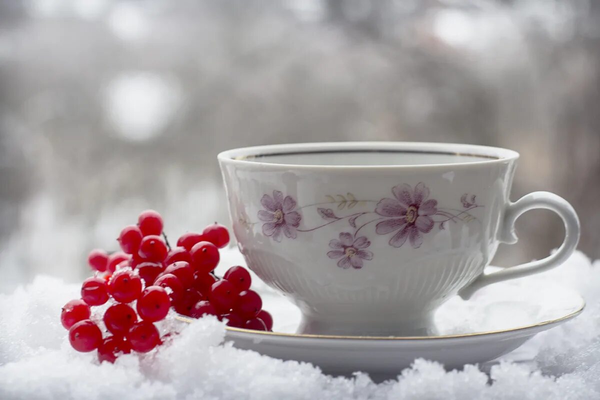 Доброе утро зима. Снежное утро. Утро чай снег. Доброе Снежное утро.