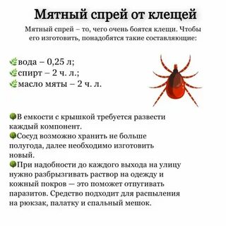 Боятся ли клещи