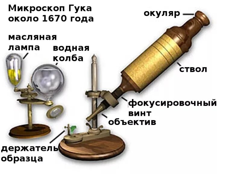 Первым используя микроскоп. Роберт гук и его микроскоп. первый микроскоп гука. кто изобрел первый микроскоп. микроскоп гука и дреббеля.