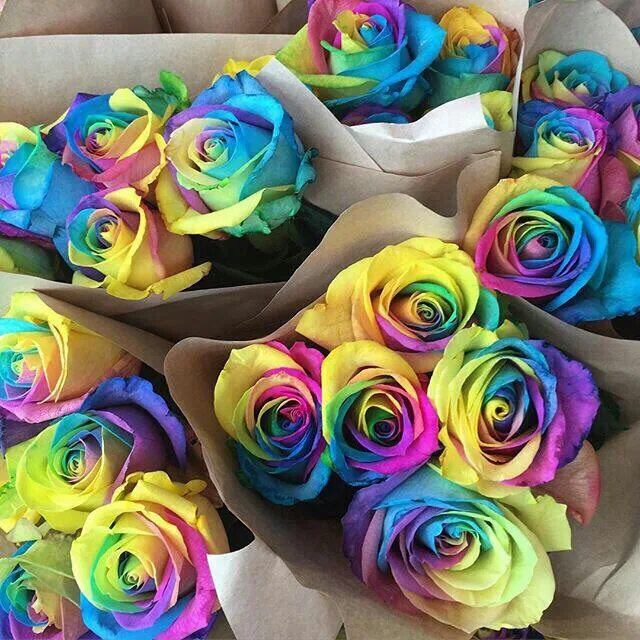 Радужные розы купить геншин. Радужные розы букет. Мелкие розы разноцветные. Радужные мыльные розы. Мыльные розы разноцветные.