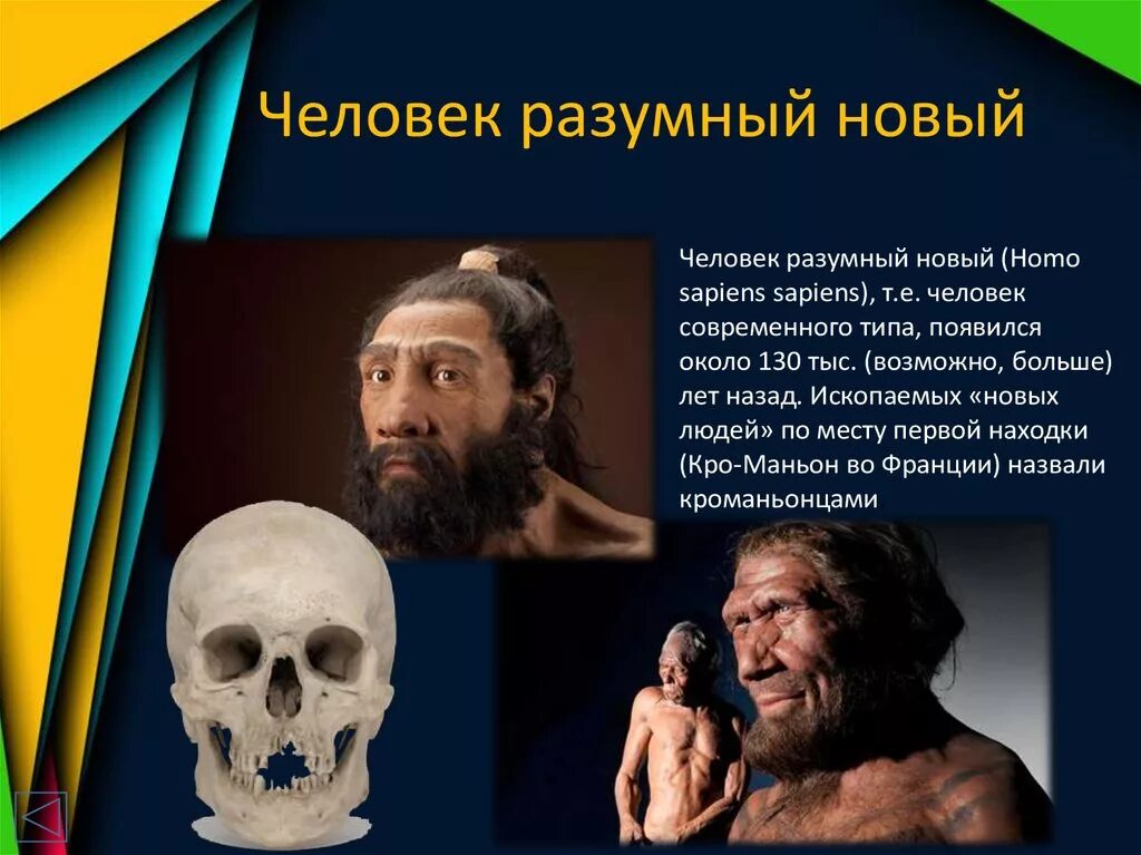 Хомо сапиенс когда возник. Человек разумный хомо сапиенс сапиенс. Вид человек разумный (homo sapiens). Человек разумный homo sapiens человек современного типа. Вид человека хомосапенс.