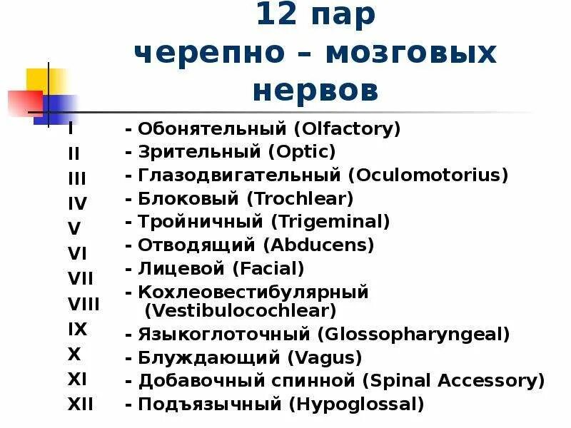 Названия черепных нервов. Название 12 пар черепно-мозговых нервов. Название 12 пар черепных нервов. 12 Пар черепных нервов схема. Черепные нервы 12 пар.