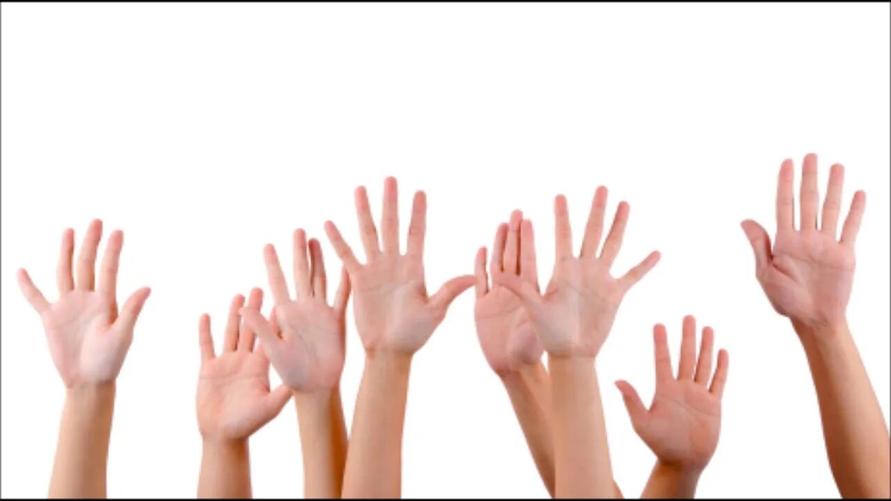Поднятые руки на прозрачном фоне. Raise hand перевод. Know картинка для детей. Руки разных народов. Raise.