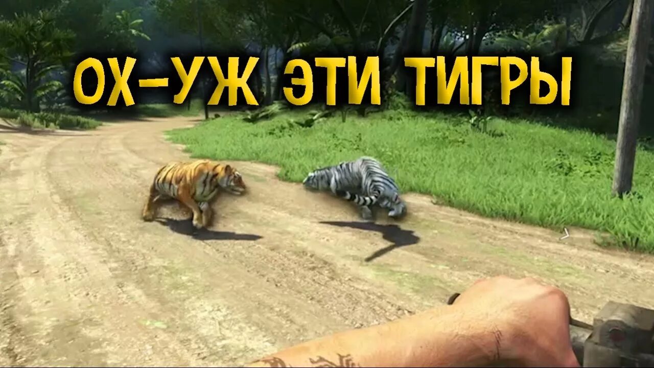 Крокодил альбинос в far cry 3. Фар край 3 животные. Шангри ла фар край 4 тигр. Фар край 3 животные. Эль тигре far cry.