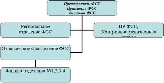 Организационная структура фонда социального страхования РФ. Организационная структура ФСС РФ схема. Структура органов ФСС схема. Структура органа ФСС РФ. Структура отделения социального фонда рф