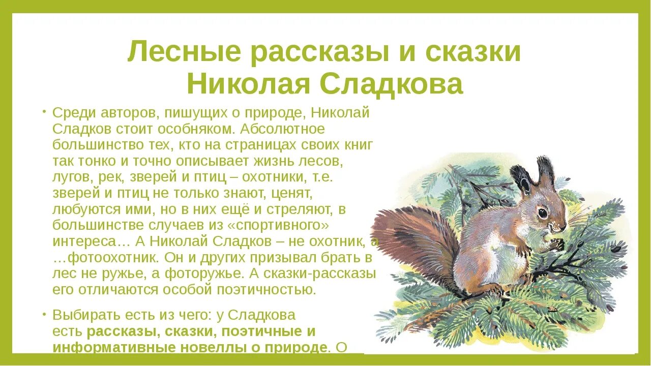 Значение рассказов о природе. Рассказы н Сладкова. Сказки о природе. Рассказы Николая Сладкова природа.