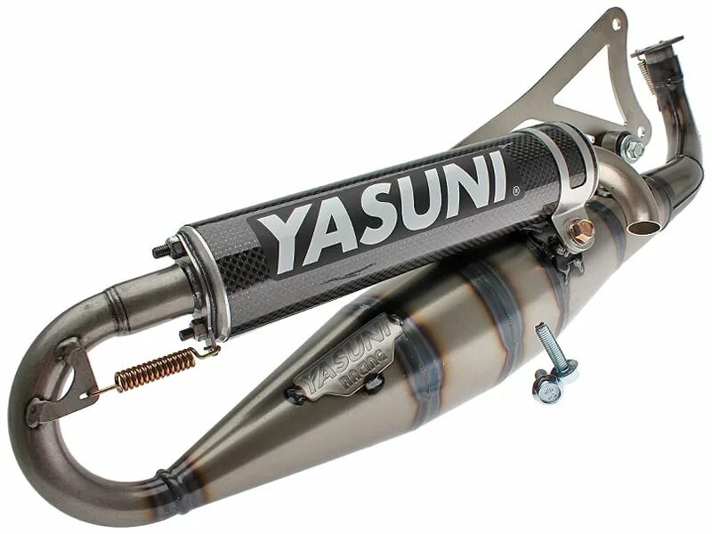 Yasuni c16. Yasuni r.