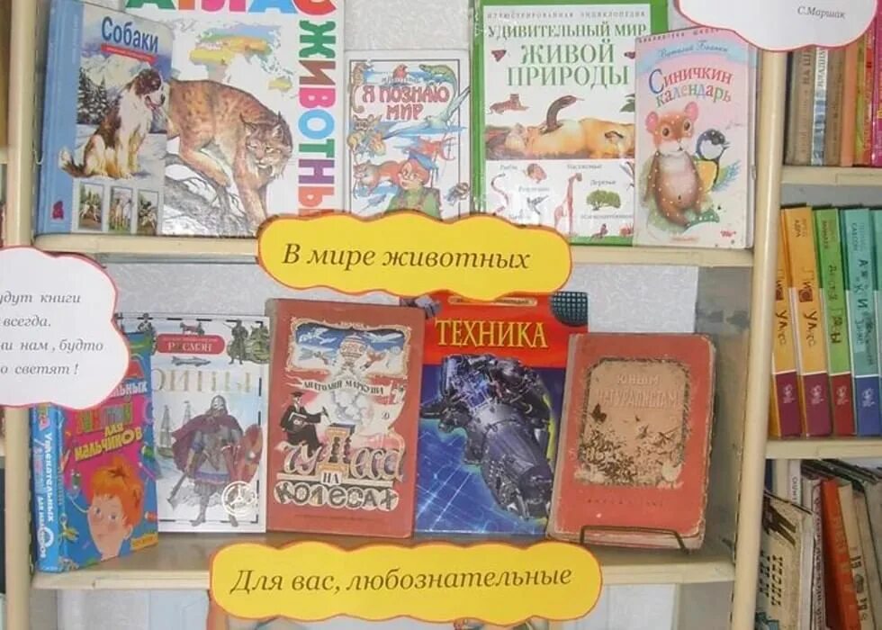 Выставка про животных. Книжная выставка животные. выставка книг про животных для детей. выставка книг о животных. выставка о животных в библиотеке.