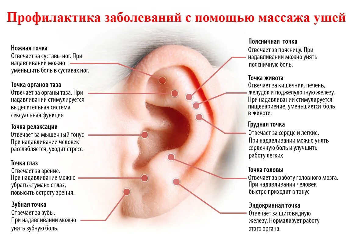 Уши как будто заложены но не болят. Биологически активные точки на ухе схема. Точки акупунктуры на ушной раковине. Акупунктурные точки ушной раковины. Акупунктурные точки на ухе для снижения веса.