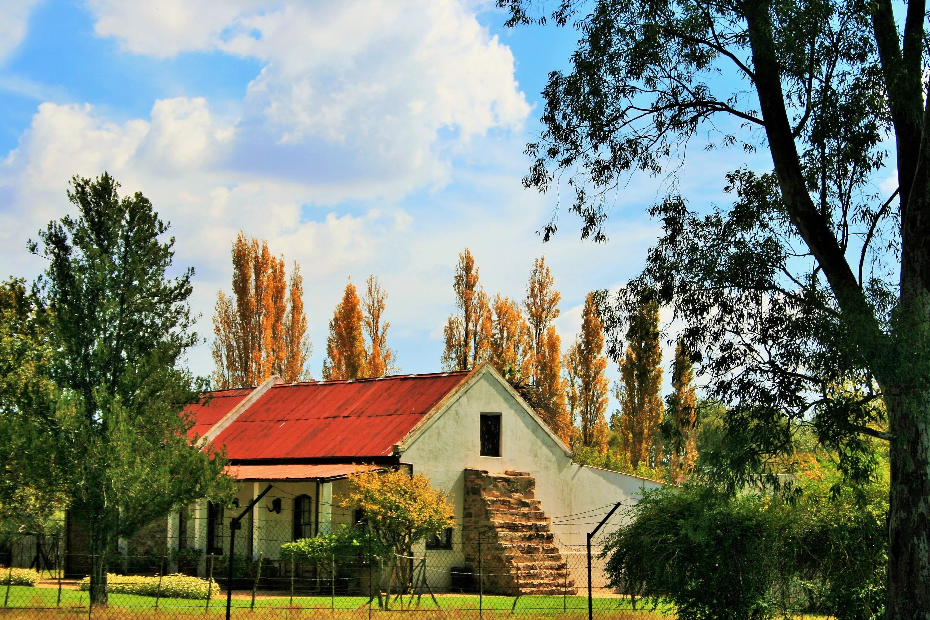 Tree farm