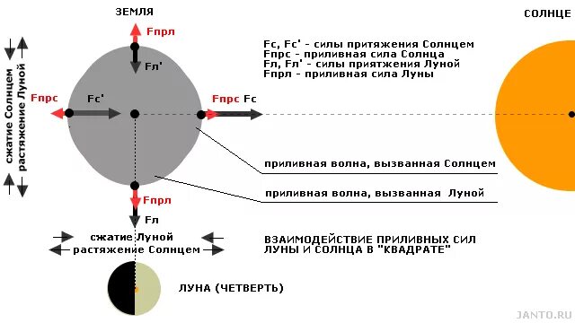 Сила притяжения земли к солнцу. Притяжение земли к солнцу. Сила притяжения солнца. Гравитационное воздействие Луны на землю. Почему луна притягивает