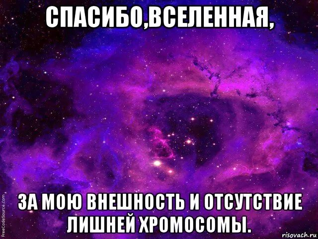 Благодарность вселенной на каждый. Благодарю вселенную. Спасибо Вселенная. Спасибо Вселенная за все. Благодарность Вселенной.