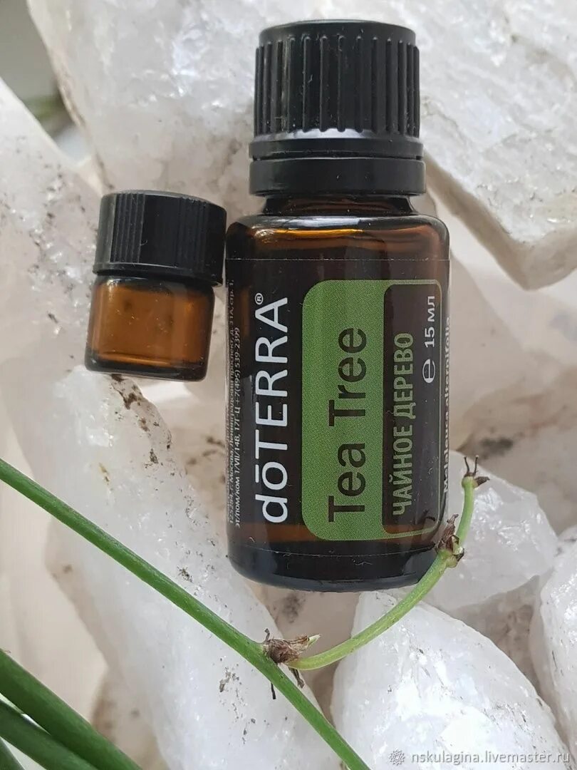 Чайное дерево эфирное масло дотерра. Doterra эфирное масло индийский сандал. Сандал эфирное масло дотерра. Индийский сандал дотерра. Чайное дерево дотерра 5 мл.