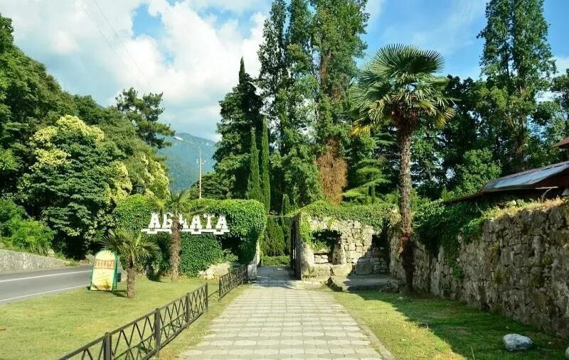 Парк Абаата Абхазия. Абаата Гагра Абхазия. Цихерва Гагра. Приморский парк Гагры Абхазия. Гудаута гагра