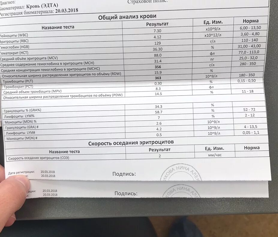 Мснс понижена причины. MCHC В анализе крови норма. MCHC В анализе крови норма у детей. Норма MCHC В крови у женщин. MCHC В анализе крови норма у мужчин.