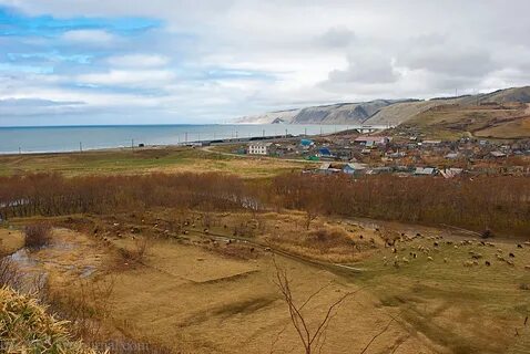 Прогноз погоды невельск сахалинская область