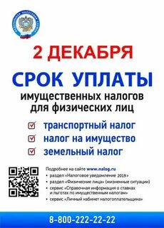Имущественный налог почему