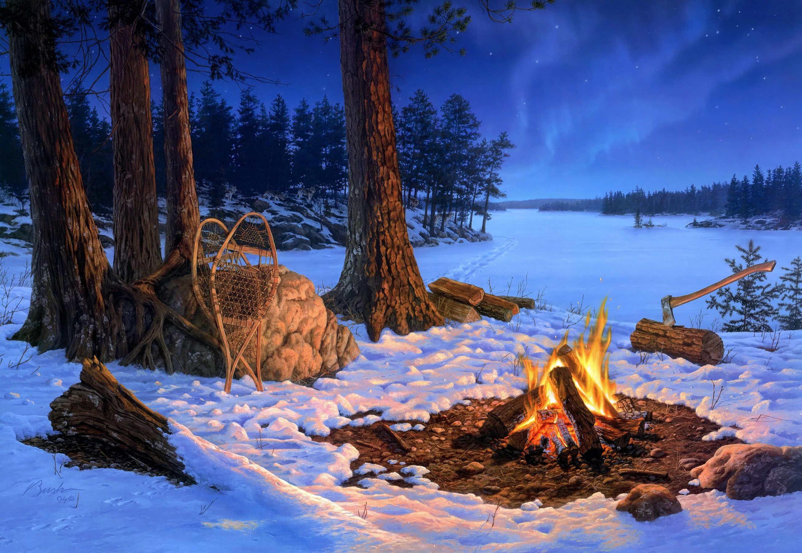 Новогодний костер. Костер в зимнем лесу. Даррел буш костер. Костер в зимнем лесу. Огонь посредине зимы.